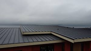 Best Roof Coating and Sealing  in Mountain Village, CO